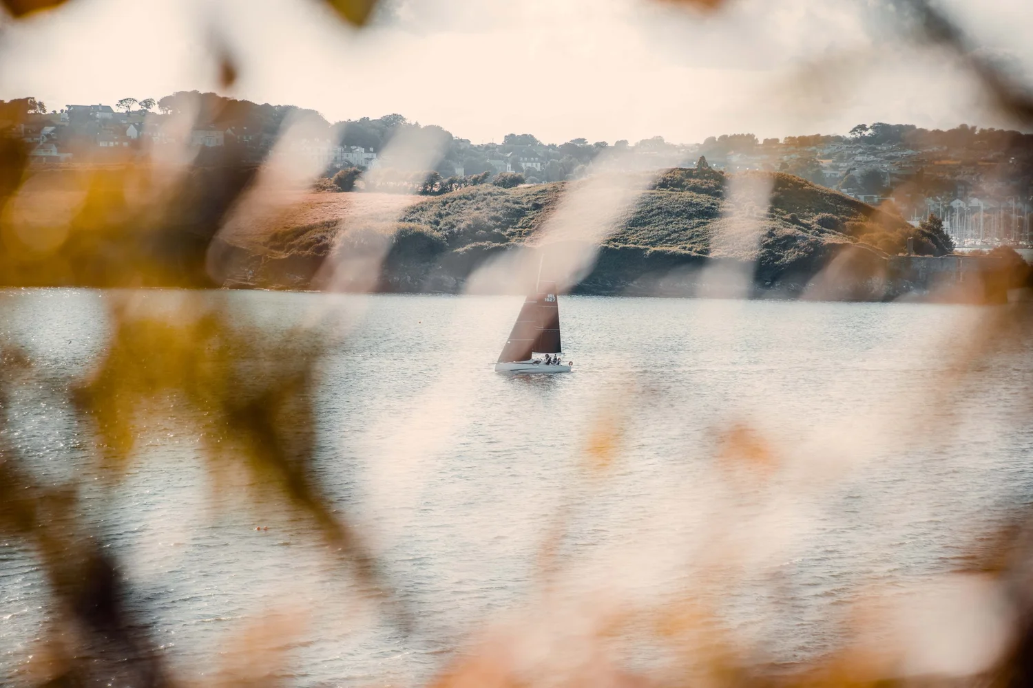 Landscape photograph by Emmett Quinn