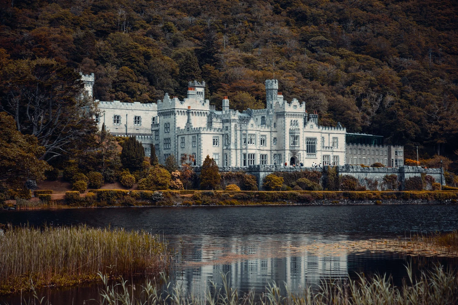 Landscape photograph by Emmett Quinn